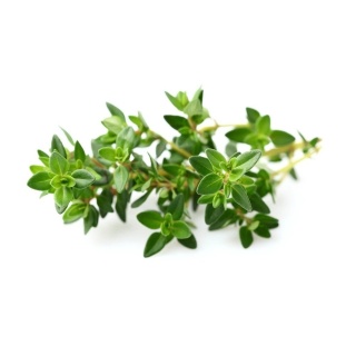 Olejek z Białego Tymianku (White Thyme), Now Foods, 30ml
