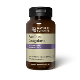 Probiotyk Bacillus Coagulans, Nature's Sunshine, 90 kapsułek