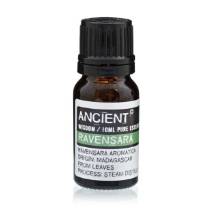 Olejek Eteryczny Ravensara, Ancient Wisdom, 10ml